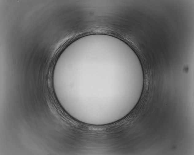 X0000115650587200912221333