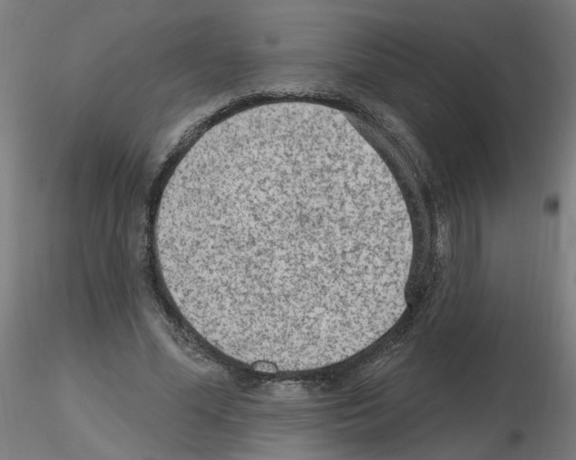 X0000115650588200912221333