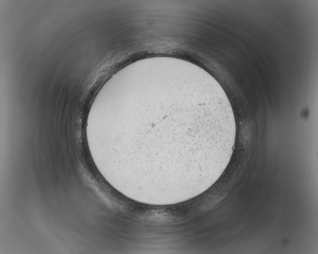 X0000115650589200912221333
