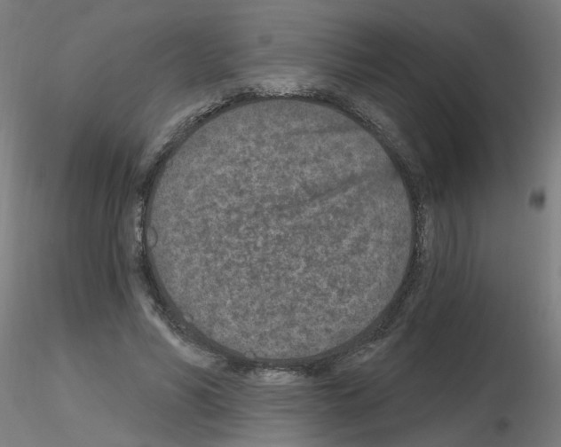 X0000115650590200912221333