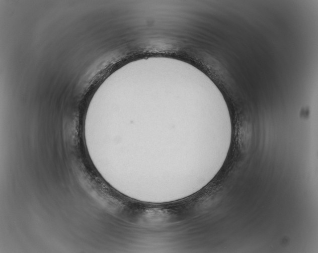 X0000115650591200912221333
