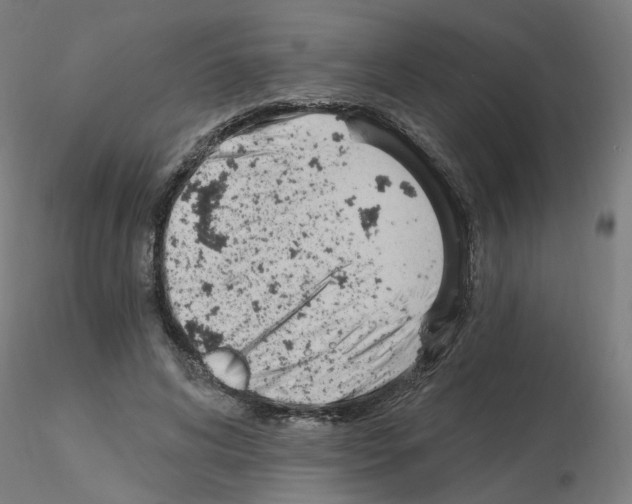 X0000115650592200912221333