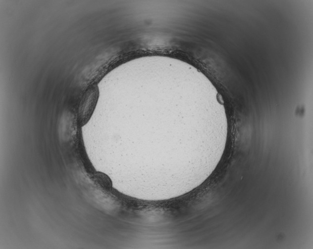 X0000115650593200912221333
