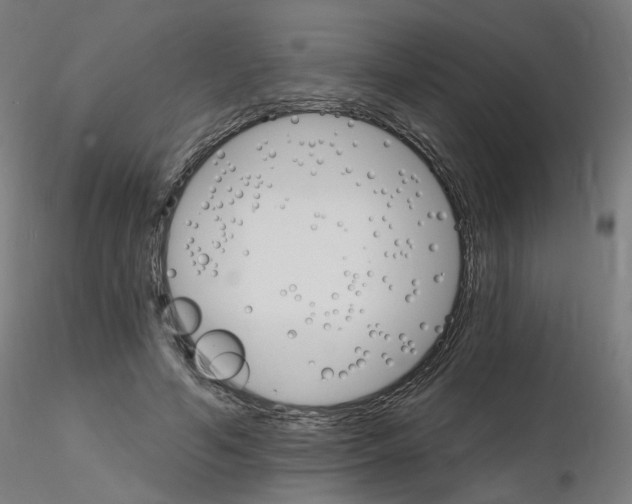 X0000115650594200912221333