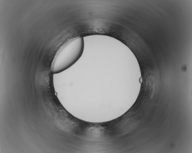 X0000115650595200912221333