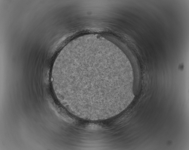 X0000115650596200912221333