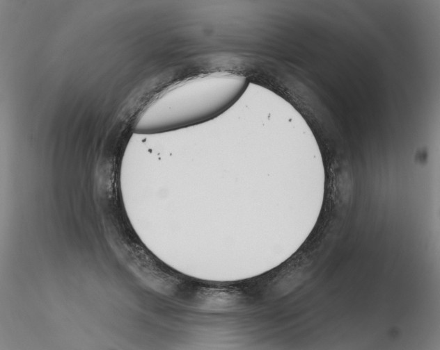 X0000115650597200912221333