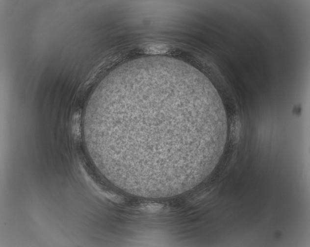 X0000115650598200912221333