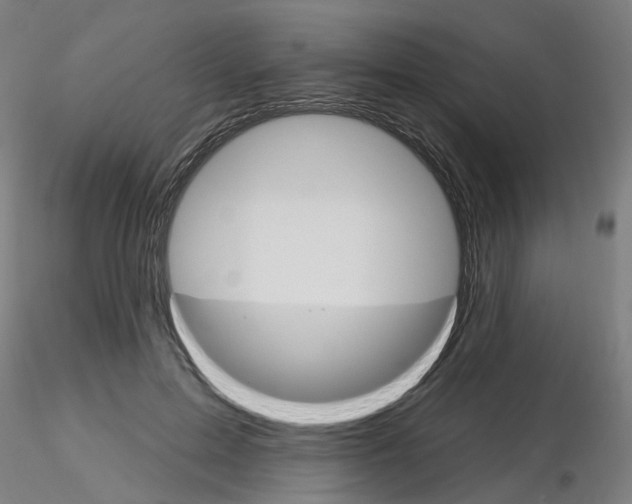 X0000115650599200912221332