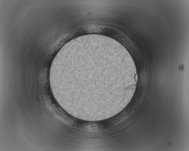 X0000115650600200912221332