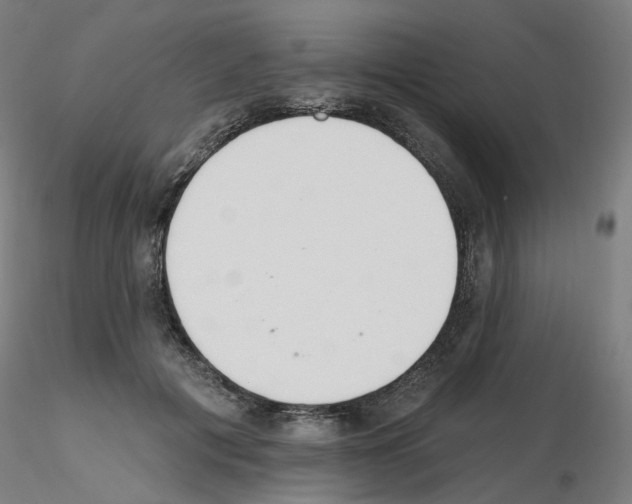 X0000115650601200912221332