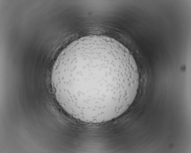 X0000115650602200912221332