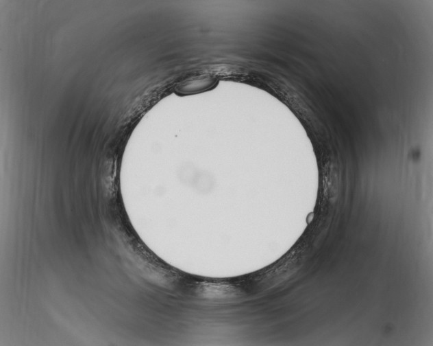 X0000115650605200912221332