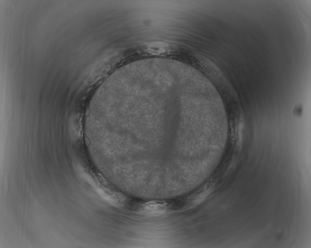 X0000115650606200912221332