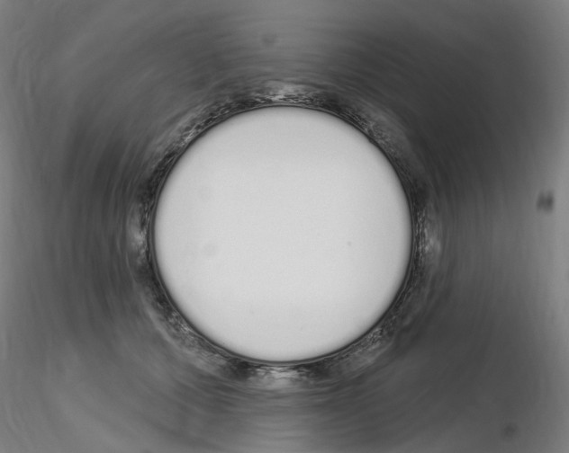 X0000115650607200912221332