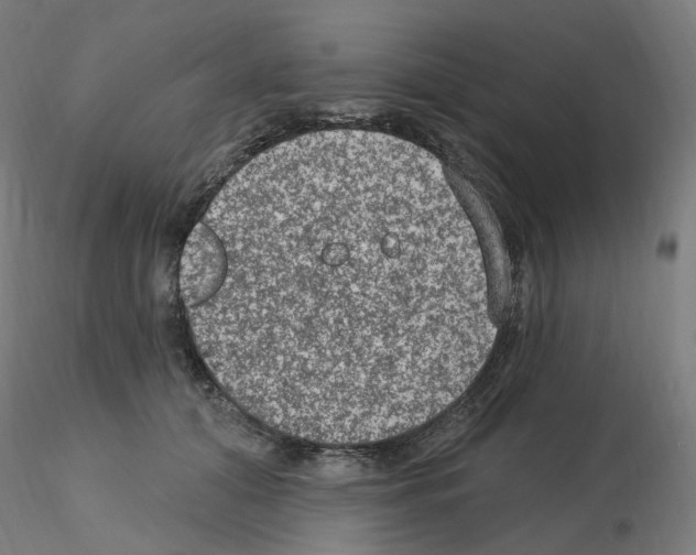 X0000115650608200912221332