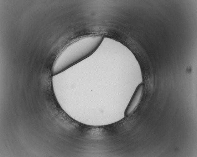 X0000115650609200912221332