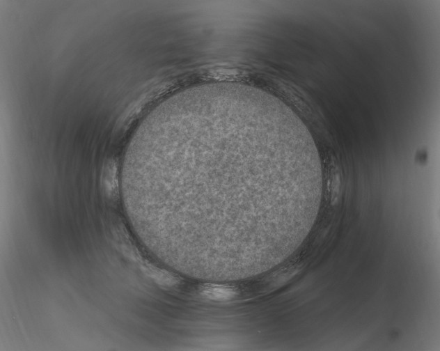 X0000115650610200912221332