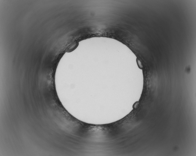 X0000115650611200912221332