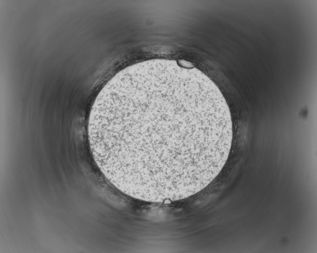 X0000115650612200912221332
