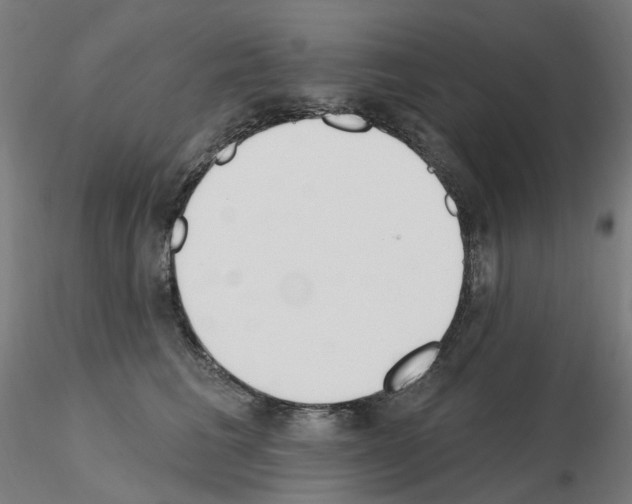 X0000115650613200912221332