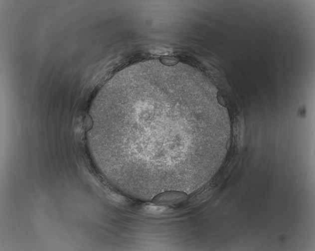 X0000115650614200912221332