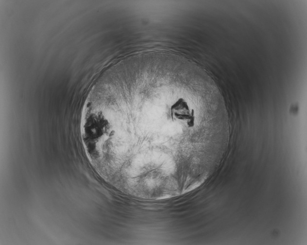 X0000115650615200912221332