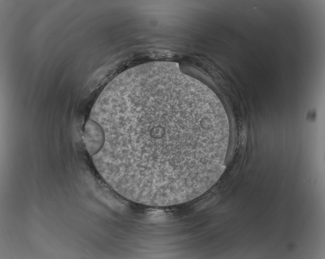 X0000115650616200912221332