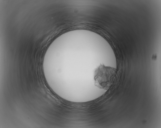 X0000115650617200912221332