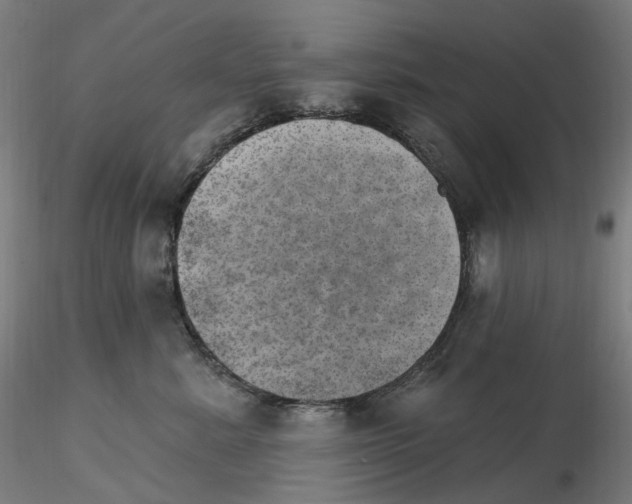 X0000115650619200912221332
