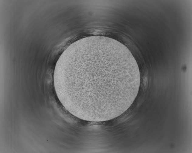 X0000115650620200912221332