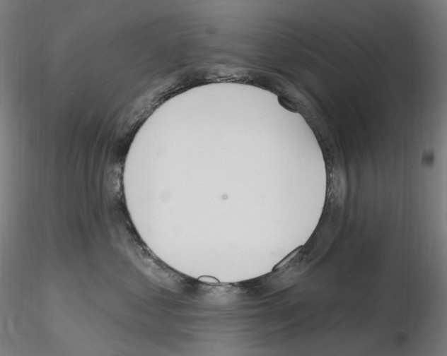 X0000115650621200912221332