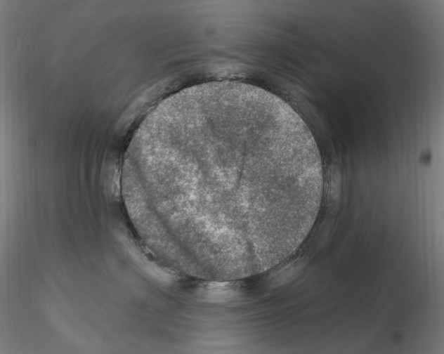 X0000115650622200912221332