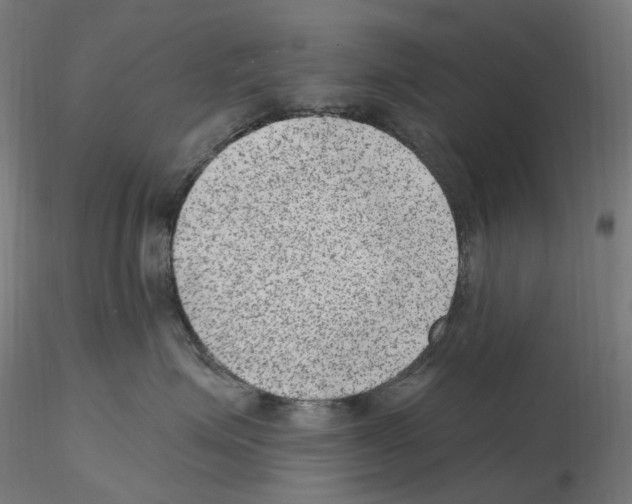 X0000115650623200912221332
