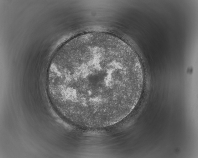 X0000115650625200912221331