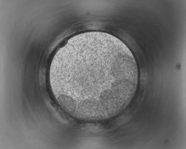 X0000115650626200912221332
