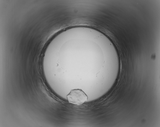 X0000115650627200912221332