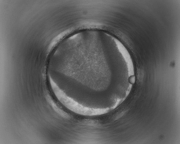 X0000115650629200912221332