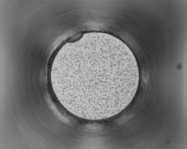 X0000115650630200912221332