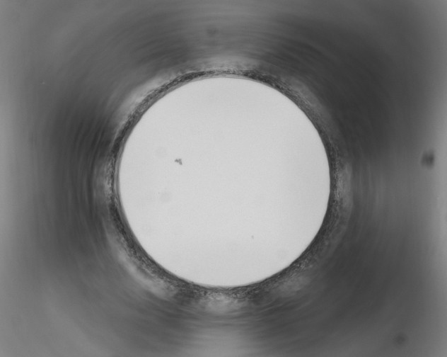 X0000115650632200912221332