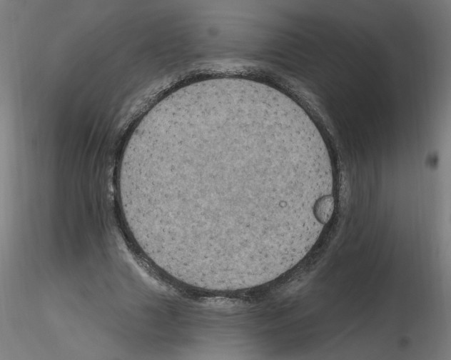 X0000115650633200912221332