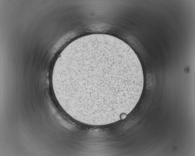 X0000115650634200912221332