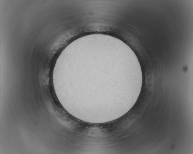 X0000115650635200912221332