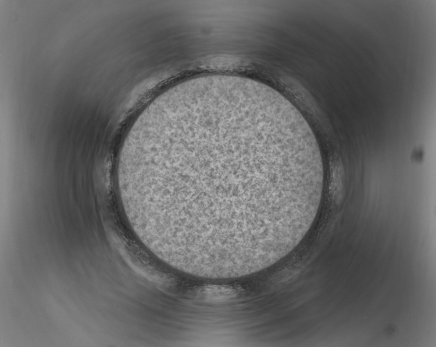 X0000115650636200912221332