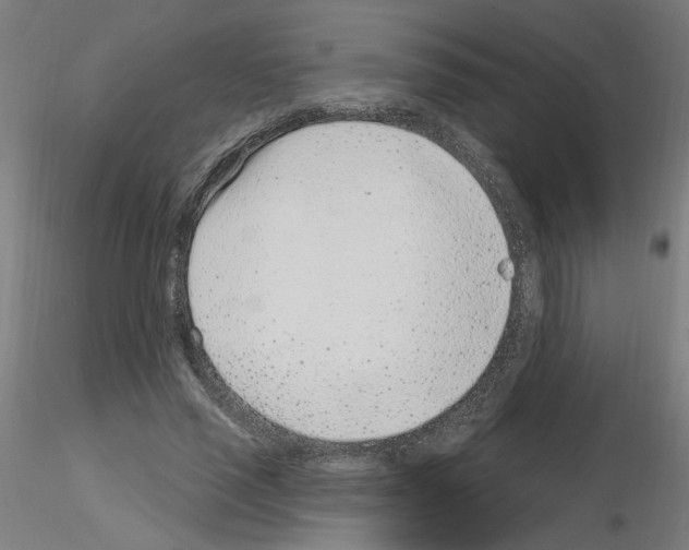 X0000115650637200912221332