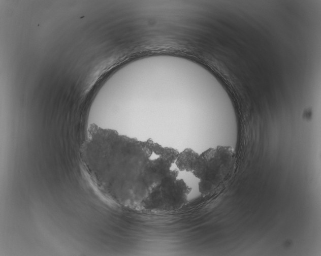 X0000115650638200912221332