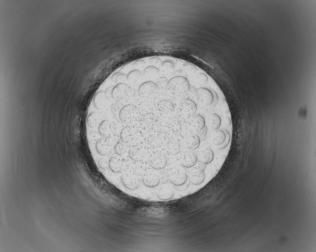 X0000115650639200912221332