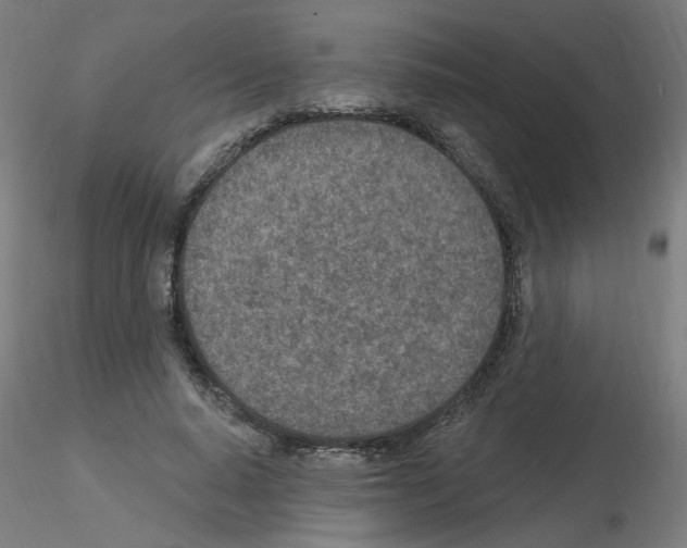 X0000115650640200912221332