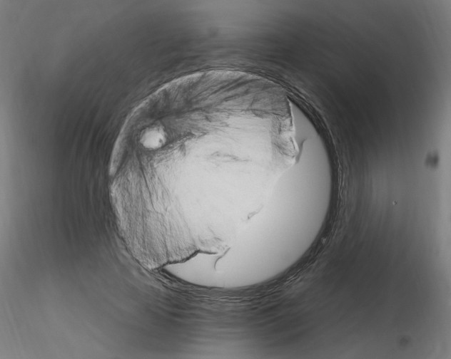 X0000115650641200912221332