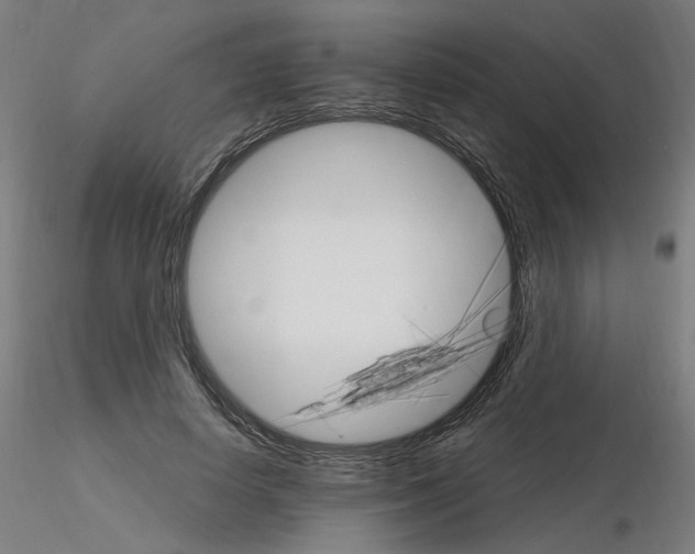 X0000115650642200912221332